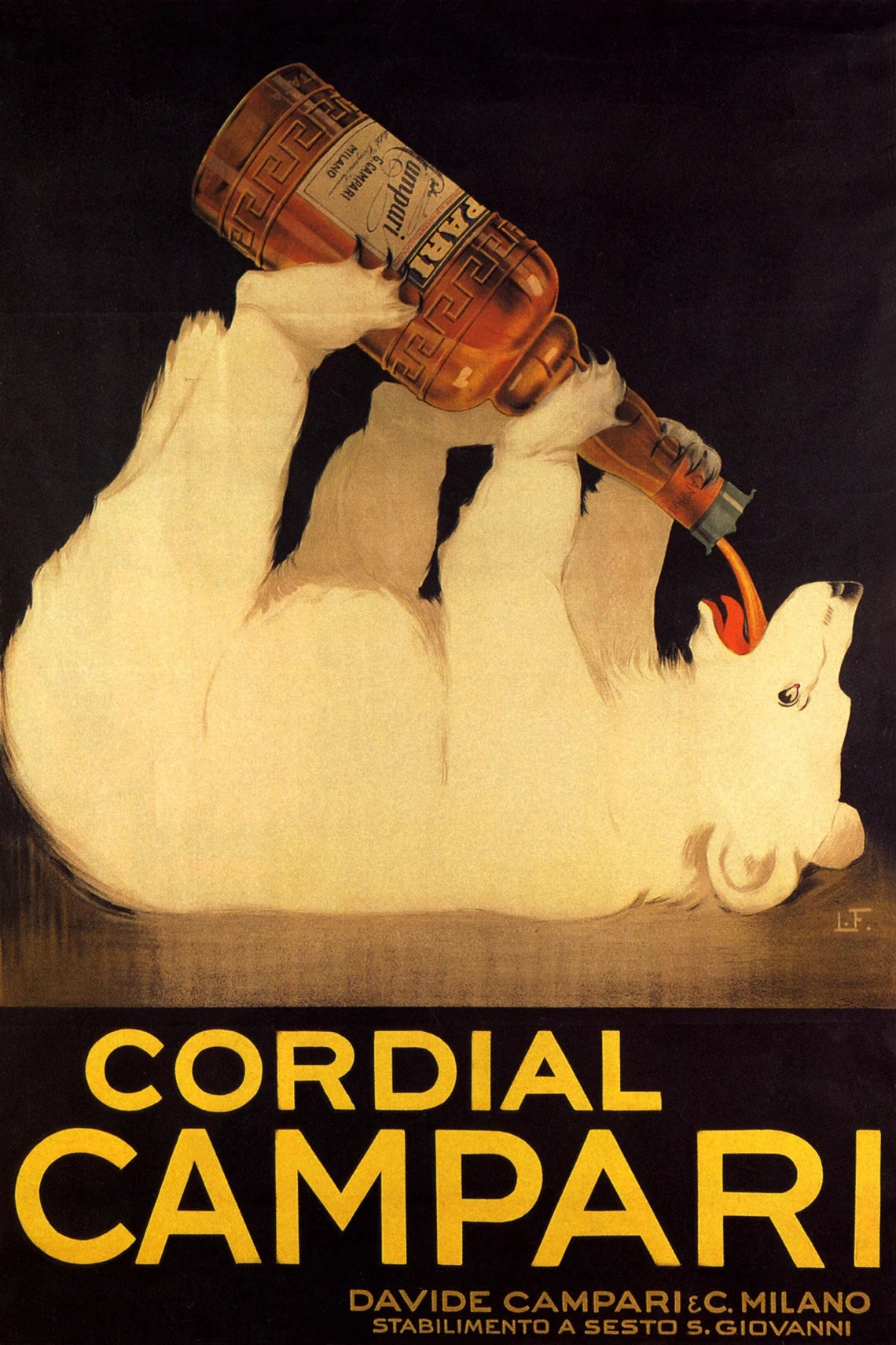 Cordial Campari polar bear